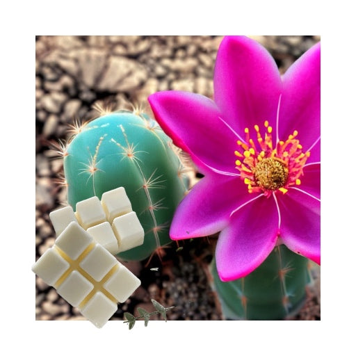 Desert Garden – Twenty3 Candle Co.